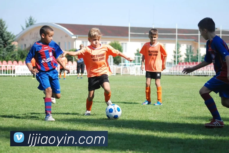 App Interface Preview